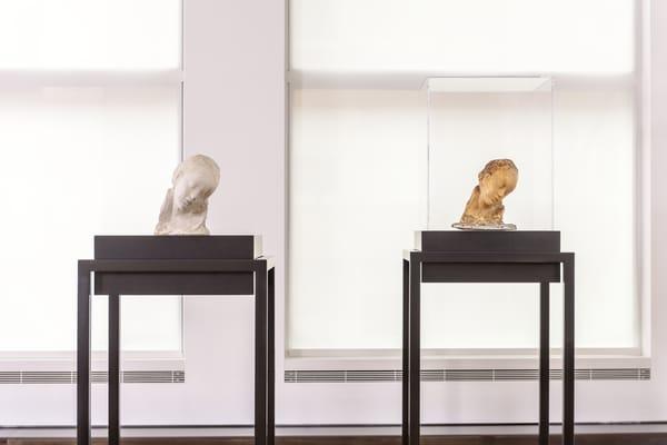 Medardo Rosso/Cy Twombly exhibition
Sept 2014-June 2015