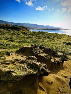 Franklin Point Trails - Año Nuevo Coast Natural Preserve