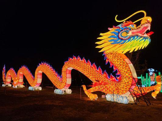 Huge Chinese dragon. This must have been 30 ft long.