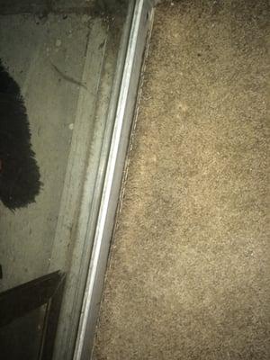 BLACK MOLD in carpet after the presidio maintenance workers "cleaned"