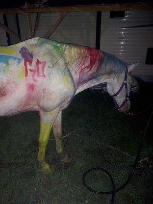 Silver after kids camp, ready for a bath!