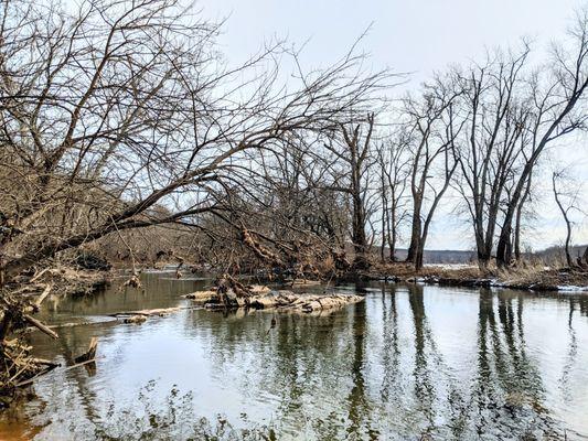 On the C&O Canal Towpath