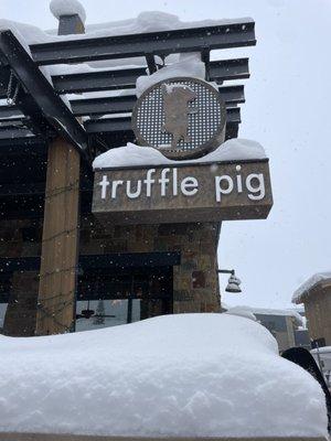 Truffle Pig!