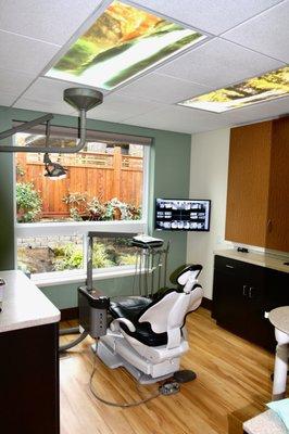 Our treatment rooms look out through large windows onto our courtyard garden.