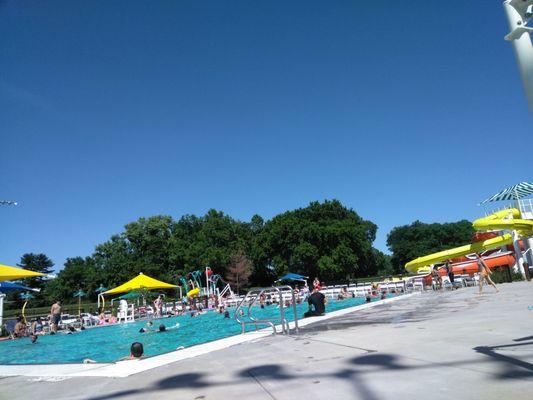 Another day at the pool soaking up the sun