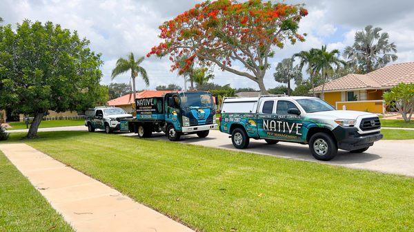 Call (954) 271-8247 for the best eco-friendly whitefly control in Fort Lauderdale!