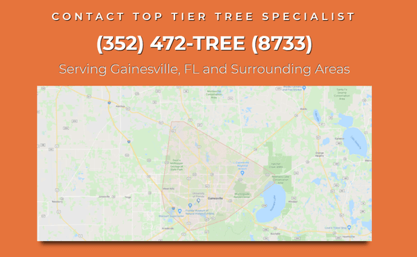 Contact Top Tier Tree Service https://toptiertreespecialist.com/contact-us/