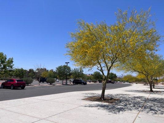 There's a plenty of parking space from Tropicana Avenue