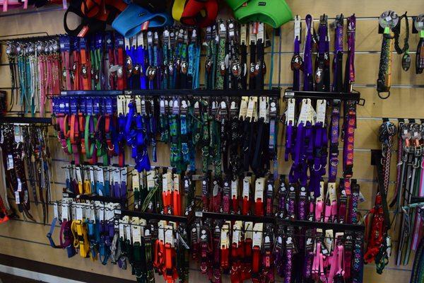 We offer many different collars and leashes for every kind of dog!