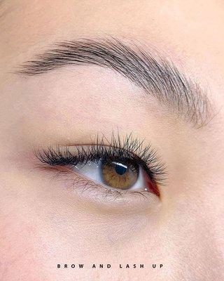 eyelash extension 2d