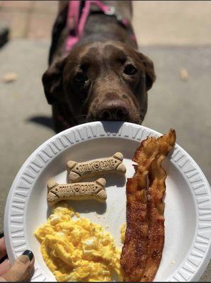 Millie loves Plum's for breakfast!