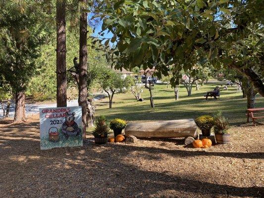 Cute bench near apple orchard