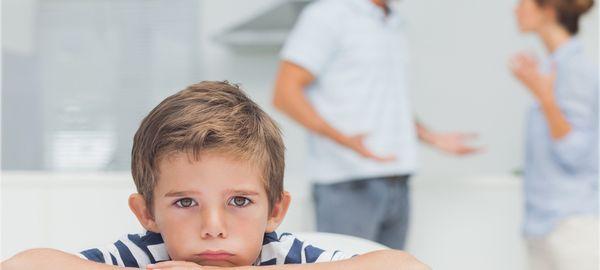 child custody investigations Miami Florida