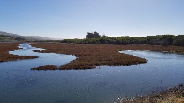 The marshlands are spectacular for bird watching