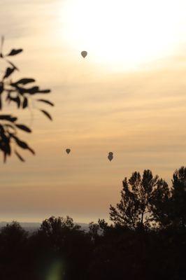 Hot Air Balloons floating toward Black Mountain, Rancho Penasquitos. (photo by Rebecca  Milkey)