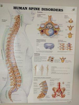 Specializes in challenging neurological surgery