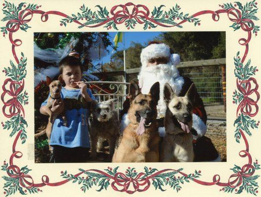 Sage, Dominick, Molly Brown, Rocky, Blue & Santa.