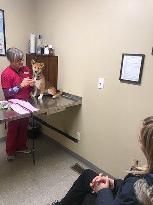 Dr. Hall with her patient.