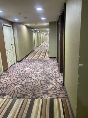 Note the hallway carpet that is torn and stained along its length. It's also puckering and smells of damp fiber.