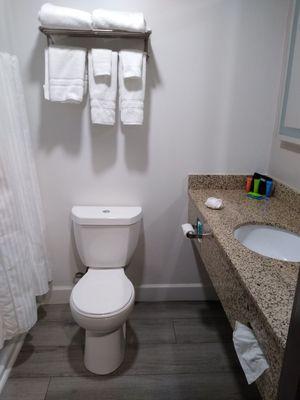 Bathroom with amazing features (soaking tub, rainfall showerhead & adjustable vanity wall mirror lighting.