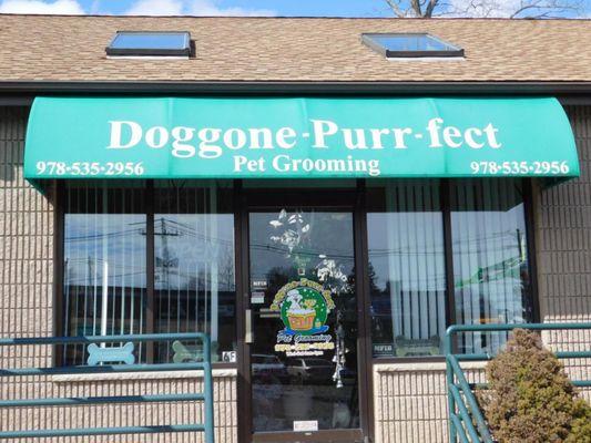 Doggone Purr-fect Pet Grooming, Peabody