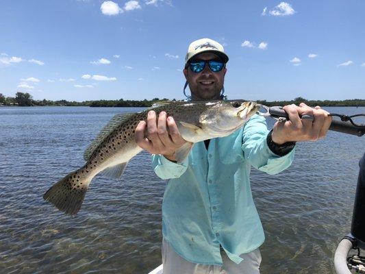 Trying not to catch these fish because they are so fragile but every day we have trout mixed in all day!