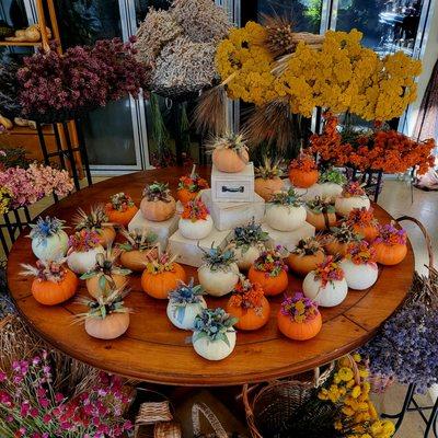 Decorated pumpkins and dried flowers