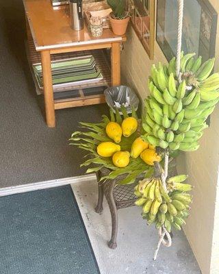 Fruit and banana bread for breakfast