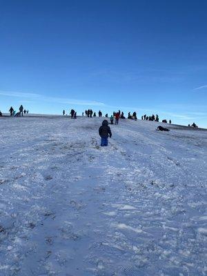 Sledding!