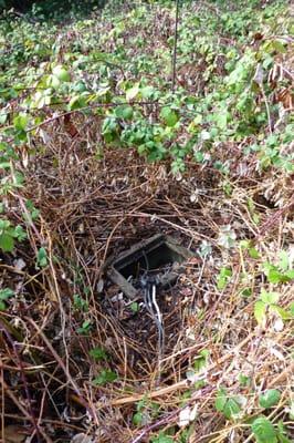 Using our state-of-the-art equipment we located the access point to these underground lines hidden under overgrown blackberry bushes.