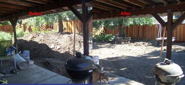 Dirt Removal 15 Cubic Yards Before & After