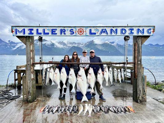 Halibut, pink salmon, king salmon, sea cod, green cod, three species of rockfish...