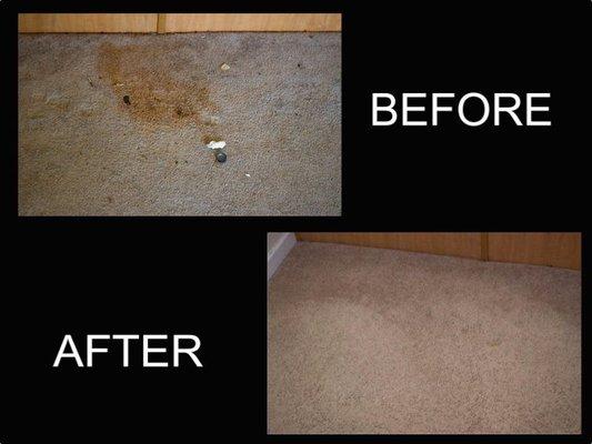 Major stain removal before and after