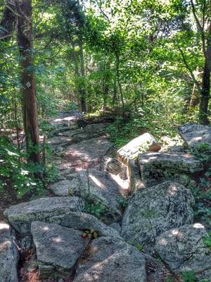 Rock outcrops of the Southern Appalachian Plateau at Rainbow Mountain in Madison, AL.