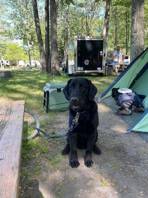 South Higgins Lake State Park