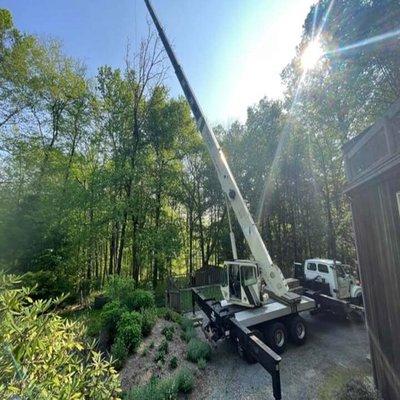 Jeovany's Tree Service