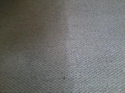 Carpet/ Clean-Dirty