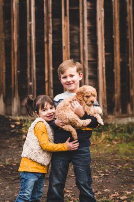 Siblings with a new puppy at their family photo session