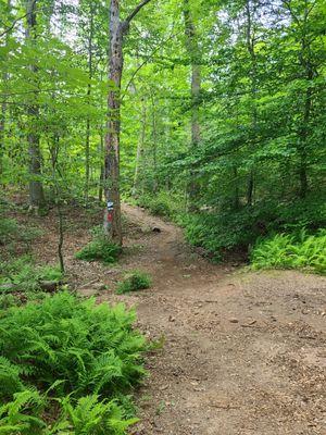 Part of the trail