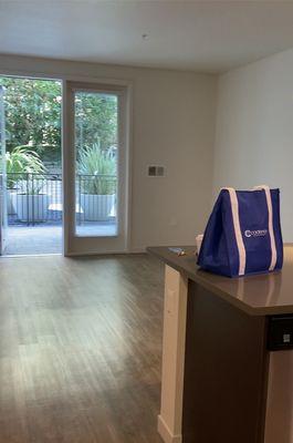 Kitchen counter hardwood floor, patio.