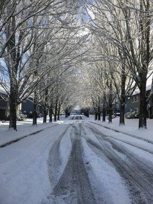 Main road into complex