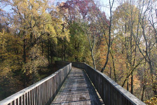 Nice skywalk/overlook near beginning of the trails.