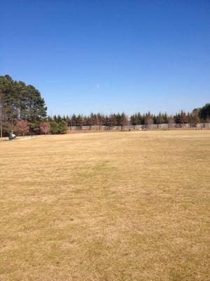 Open lawn for unlimited play.