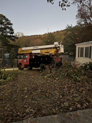 Carden Tree Service