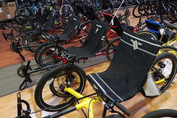 Large selection of Terra Trikes & electric conversion kits.