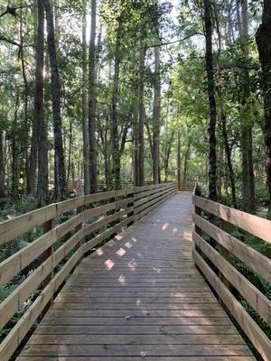 Boardwalk trail