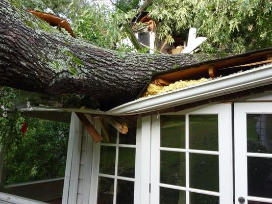 Tree Damage To Roof