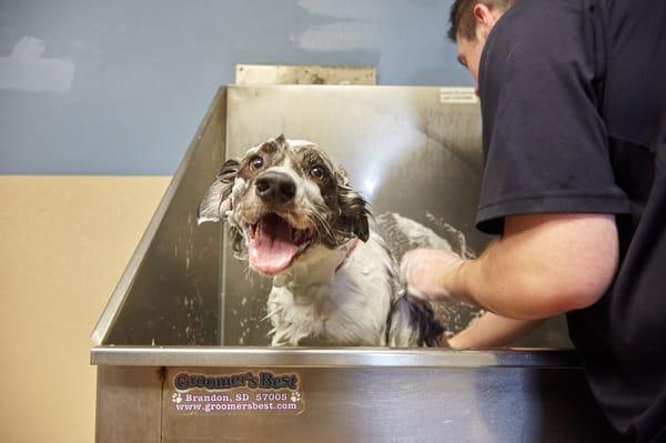 Bath time!