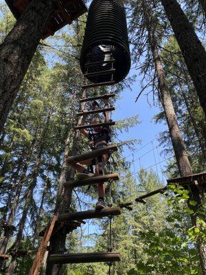 Tree to Tree Adventure Park