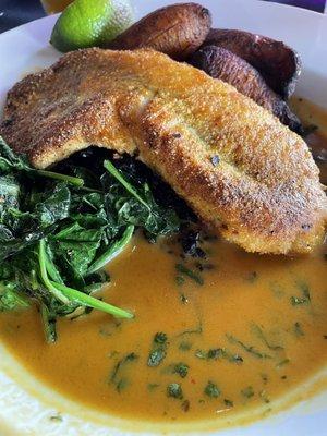 Thai curry with rockfish, rice, spinach, and plantains.